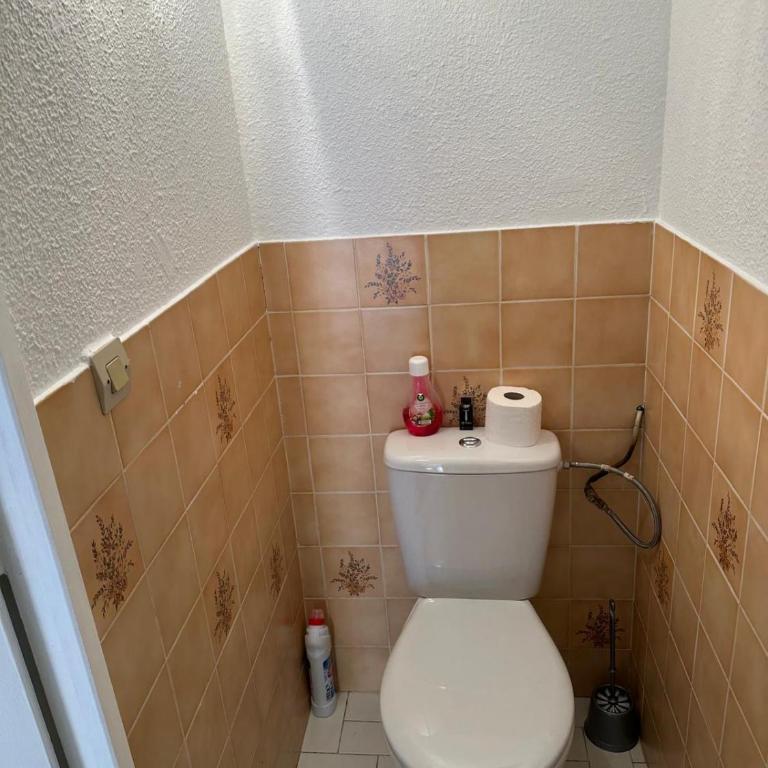Appartement T2, 4 couchages avec balcon, tout proche de la cure thermale, centre-ville - Appartamento con 1 Camera da Letto - 14