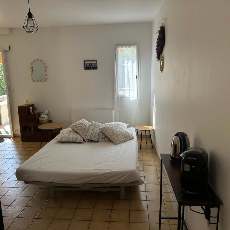 Appartement T2 avec terrasse privée, 4 couchages, tout proche de la cure thermale, centre-ville - Apartment mit 1 Schlafzimmer - 19