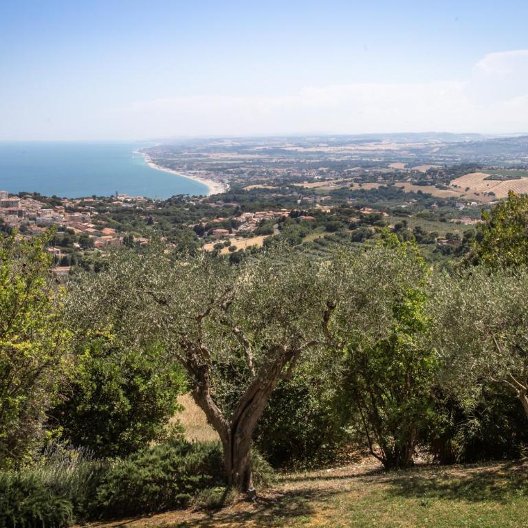 Villa MareMonte - Sirolo, meravigliosa villa panoramica con vista mare - Apartamento con 4 dormitorios - 27