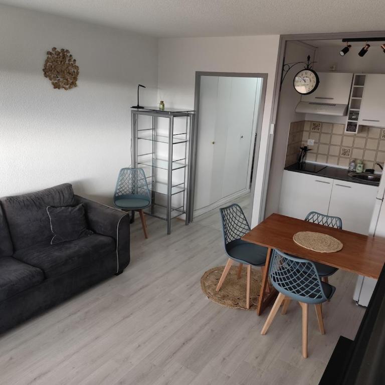 grand studio avec terrasse - Appartement 1 Chambre - 12