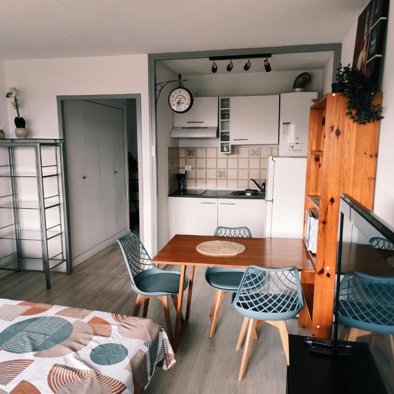 grand studio avec terrasse - Appartement 1 Chambre - 15
