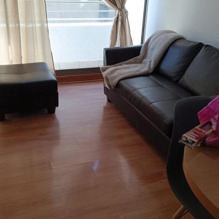 Apart Barrio Lastarria - Apartamento Superior de 2 dormitorios - 5