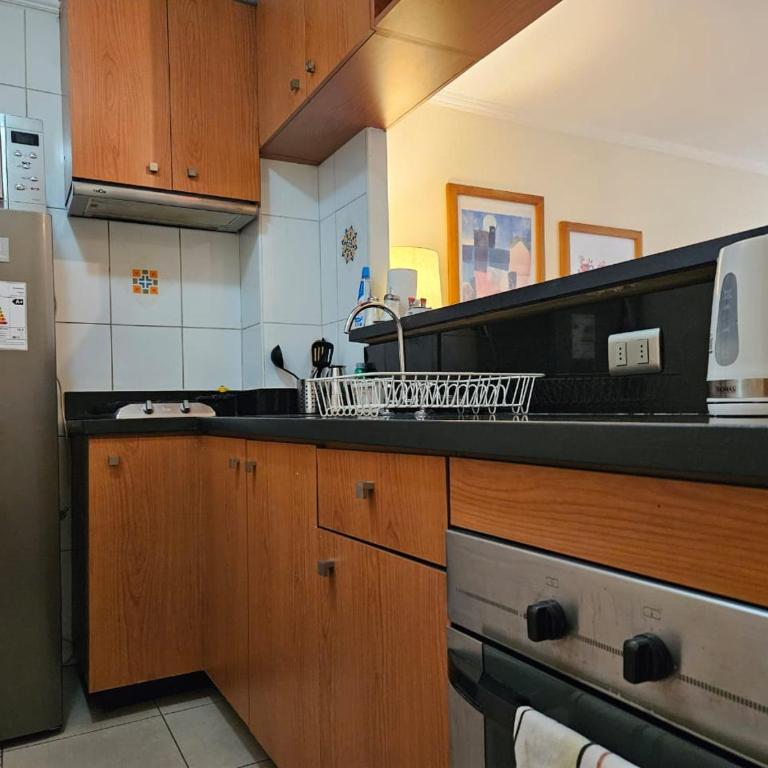 Apart Barrio Lastarria - Apartamento Superior de 1 dormitorio - 2