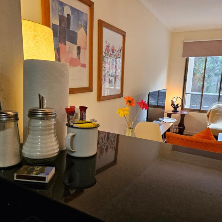 Apart Barrio Lastarria - Apartamento Superior de 1 dormitorio - 3