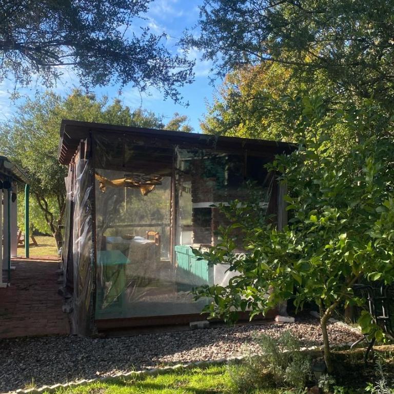 Armonía - Casa - 25