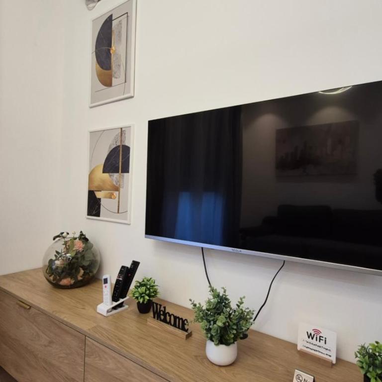 Apartman Taris - Apartman sa 1 Spavaćom Sobom - 4