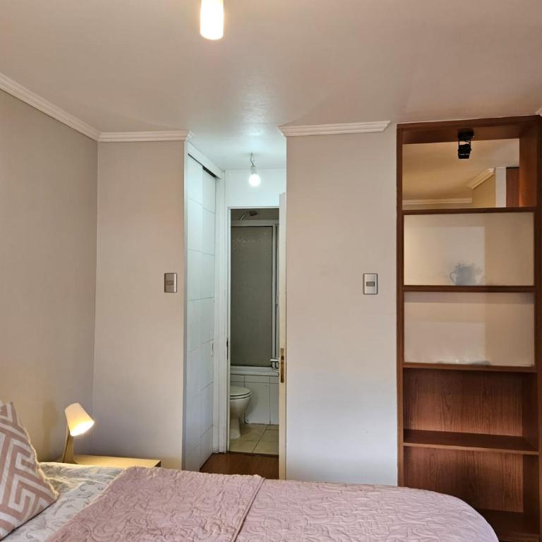 Apart Barrio Lastarria - Apartamento Superior de 1 dormitorio - 13