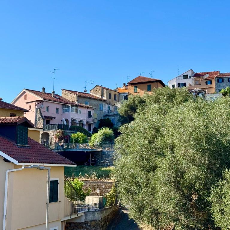 ULIVI - Charming 1 bedroom apartment with garden and parking - Appartamento con 1 Camera da Letto - 37