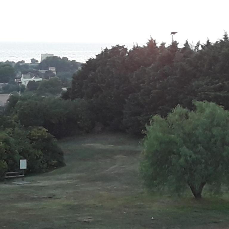 Tramonti Recidence - Appartamento con 1 Camera da Letto - 2