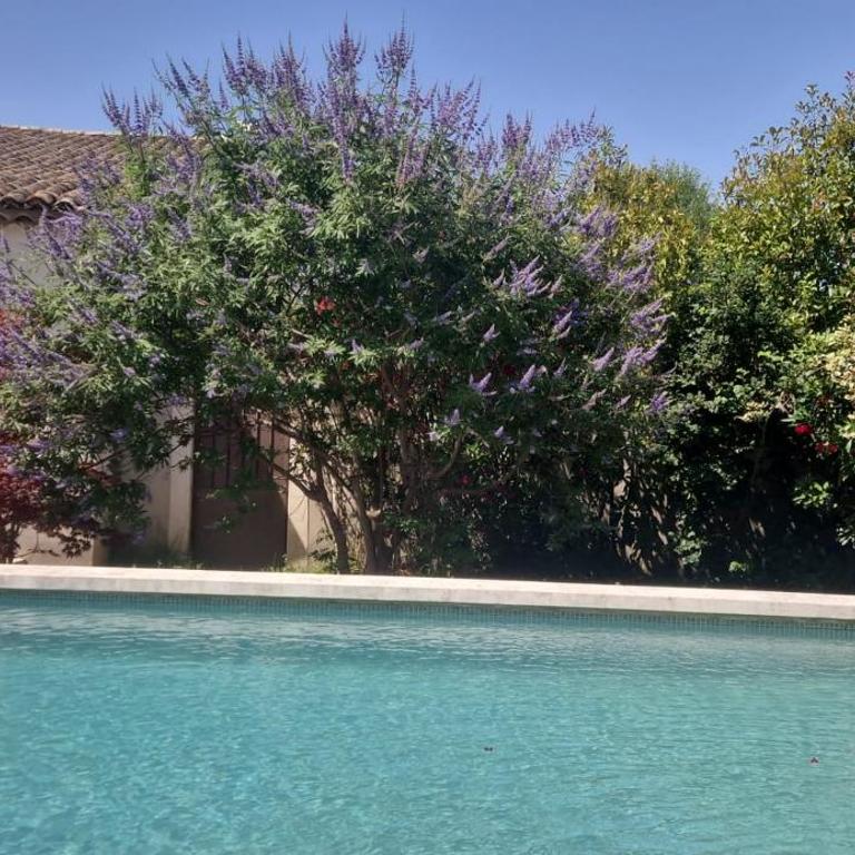 Mas Crillones avec Piscine - familles & groupes - Villa - 45