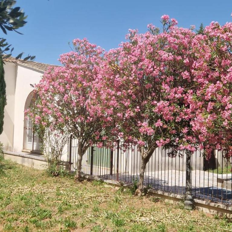 Mas Crillones avec Piscine - familles & groupes - Villa - 46