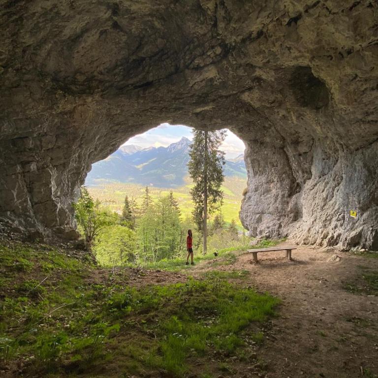 Alpenurlaub I 2 stöckige Wohnung mit Traumausblick - Apartment mit 1 Schlafzimmer - 37