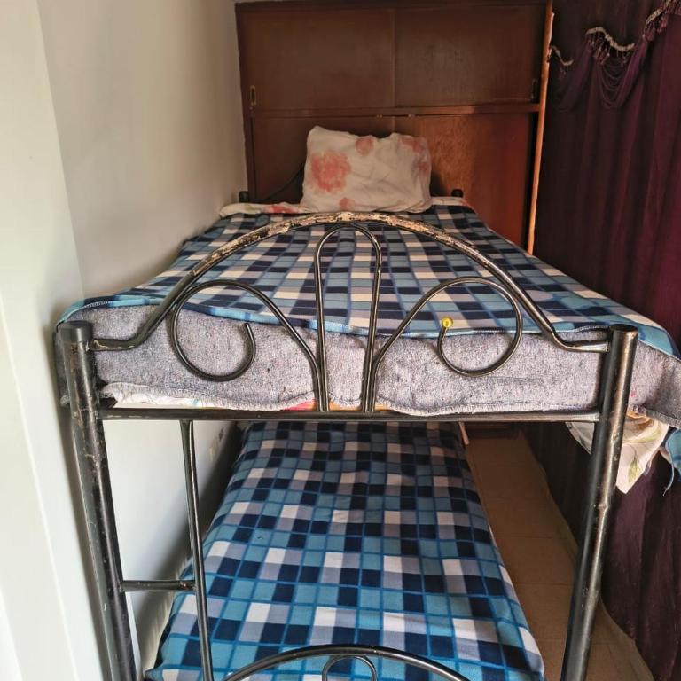 Casita de Lulu - Bunk Bed in Female Dormitory Room - 1