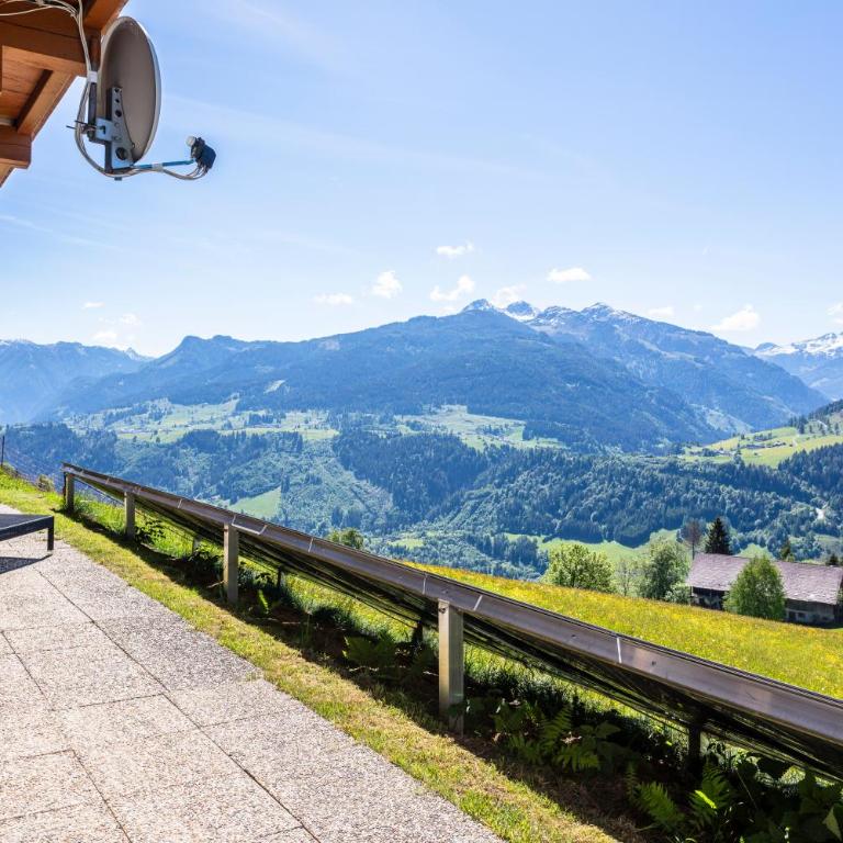 Bergbauernhof Familienparadies Oberhasenberghof - Appartement 1 Chambre avec Terrasse - 6