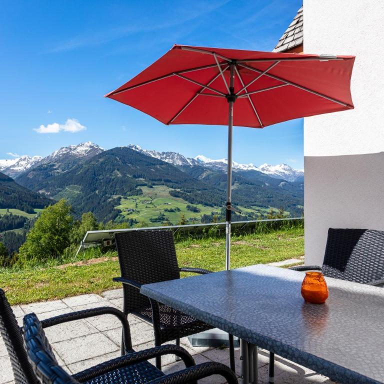 Bergbauernhof Familienparadies Oberhasenberghof - Appartement avec Terrasse - 22