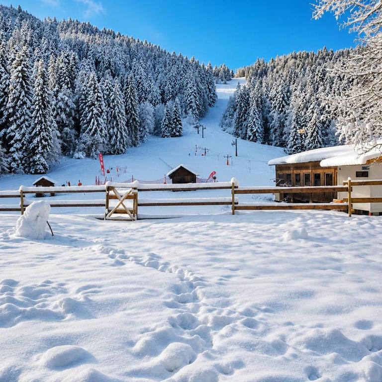 Chez Mamette & Papette - Chartreuse Chalet - Three-Bedroom Chalet - 56