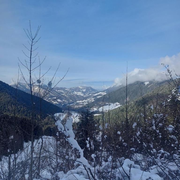 Chez Mamette & Papette - Chartreuse Chalet - Three-Bedroom Chalet - 58
