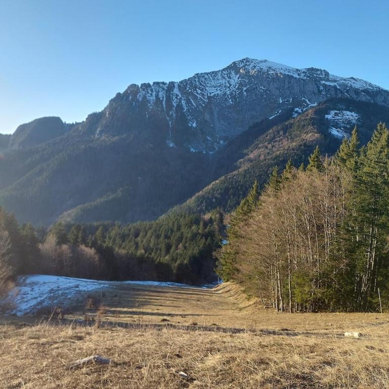 Chez Mamette & Papette - Chartreuse Chalet - Three-Bedroom Chalet - 52