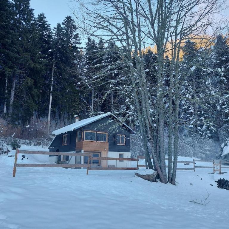 Chez Mamette & Papette - Chartreuse Chalet - Three-Bedroom Chalet - 55