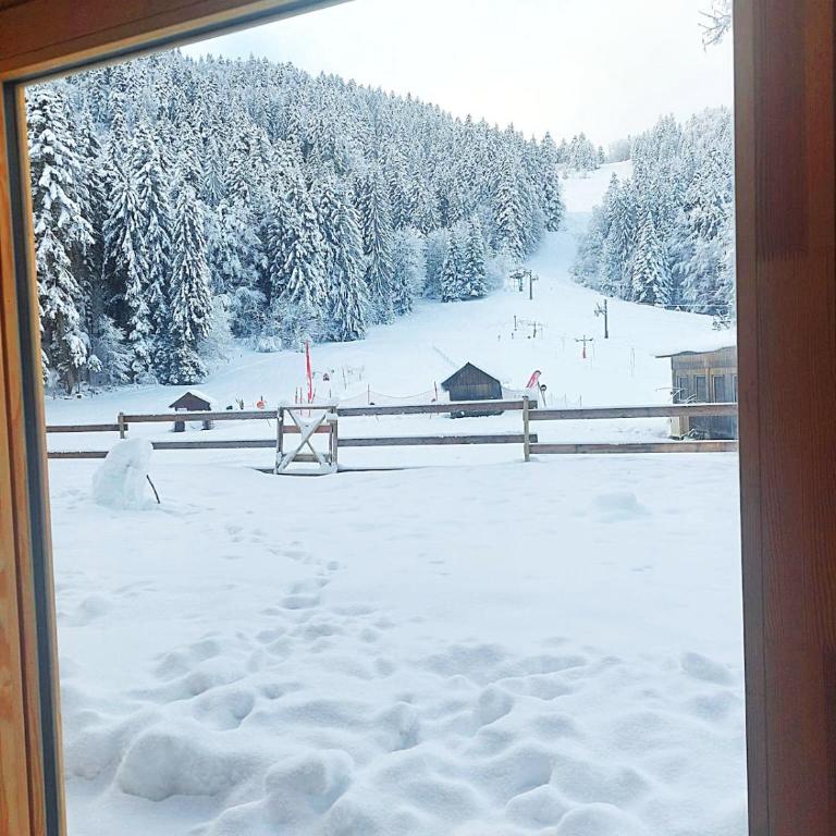 Chez Mamette & Papette - Chartreuse Chalet - Three-Bedroom Chalet - 47