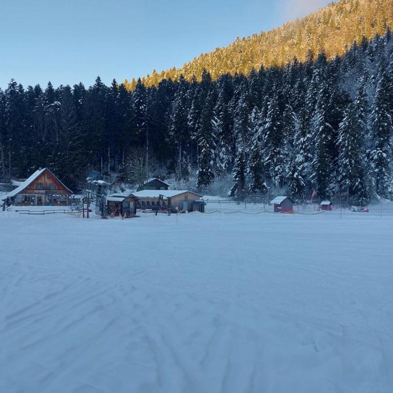 Chez Mamette & Papette - Chartreuse Chalet - Three-Bedroom Chalet - 49