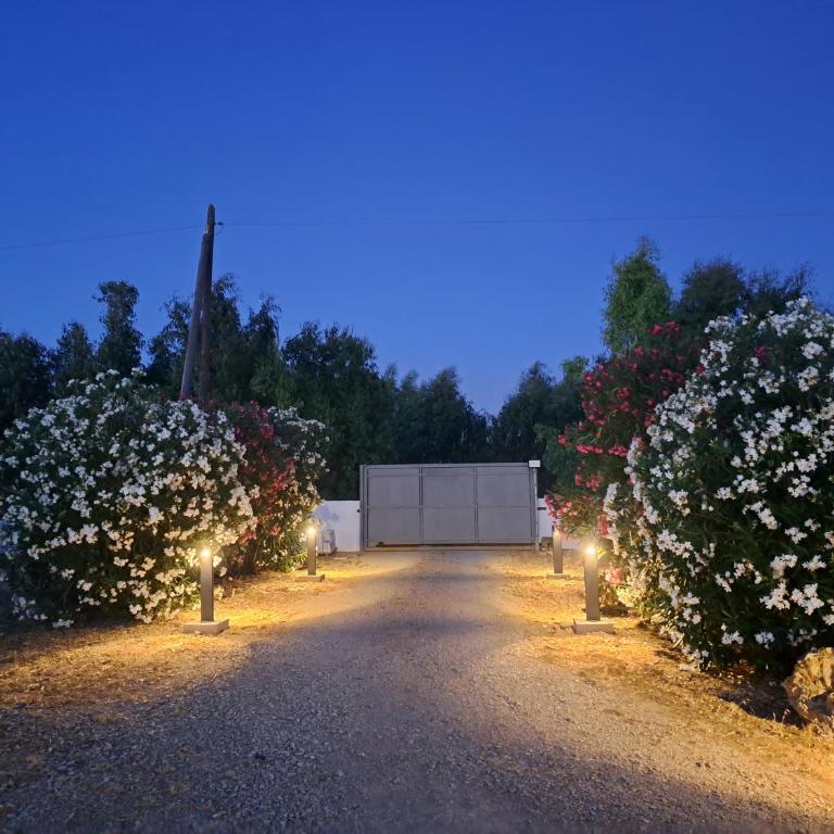 pura natura Alghero - One-Bedroom House - 37