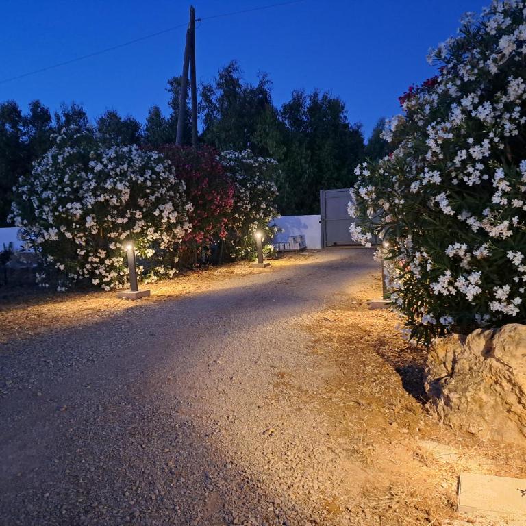 pura natura Alghero - One-Bedroom House - 36