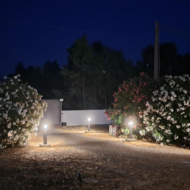 pura natura Alghero - One-Bedroom House - 35