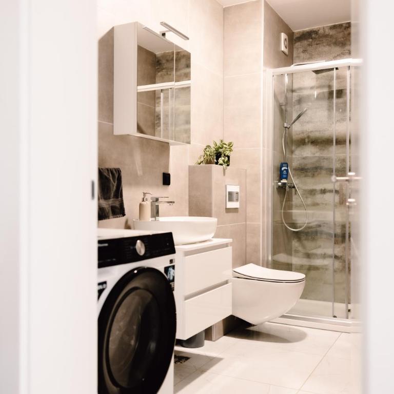 Zs Apartment - Studio-Apartment - 14