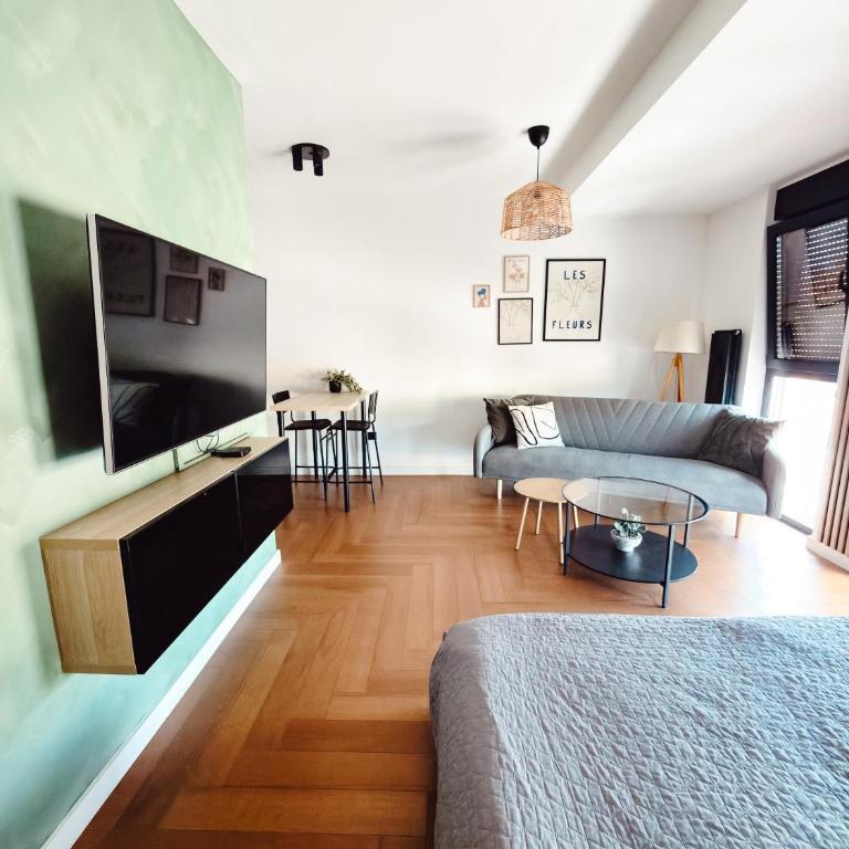 Zs Apartment - Studio-Apartment - 8