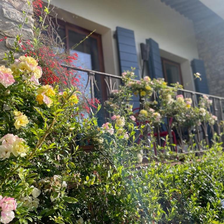 Quiet villa in a green setting - Villa - 23