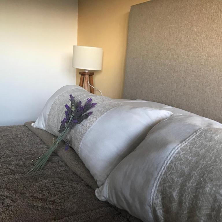 Casa de campo Dona elisa - Apartamento de 2 dormitorios - 14