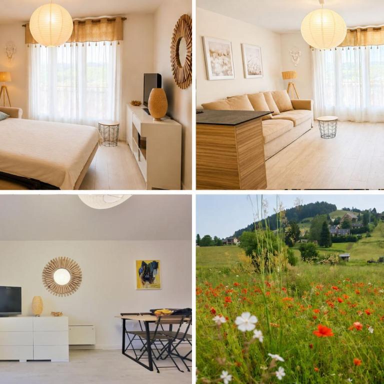 Le Balcon de Corrençon - Les Moucherolles - Appartement 1 Chambre - 2