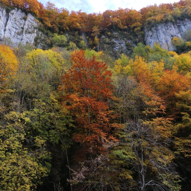 Le Balcon de Corrençon - Les Moucherolles - Appartement 1 Chambre - 30