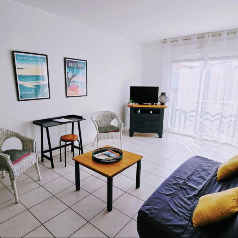Spacious apartment in La Teste-de-Buch - Appartement - 19