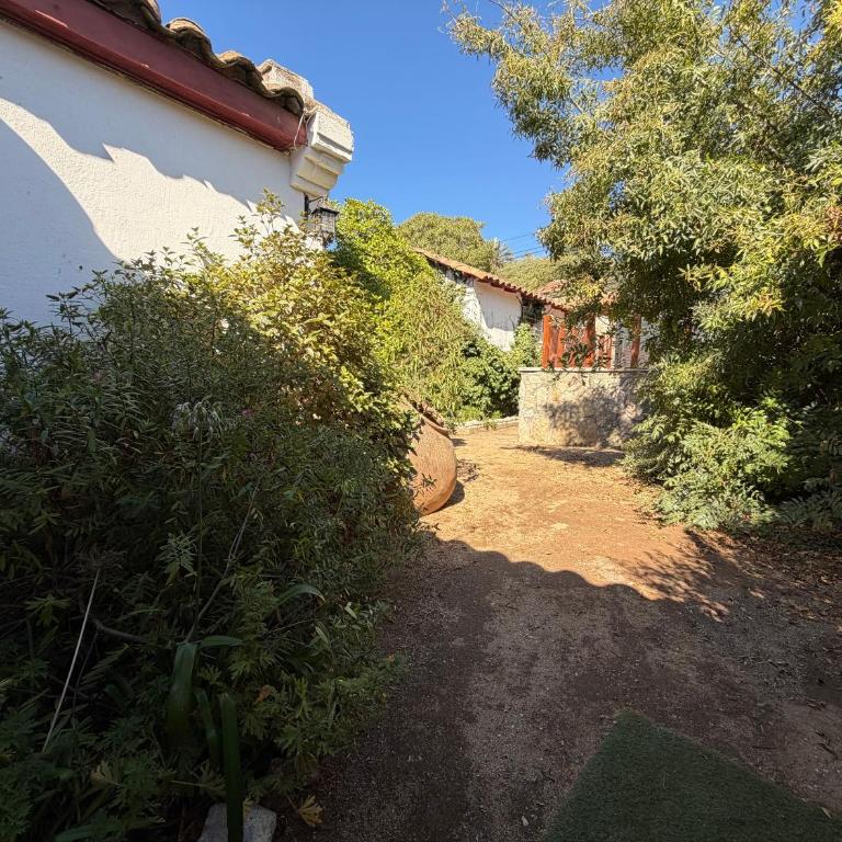 Gran casa con tinaja a pasos de la playa - Three-Bedroom House - 7