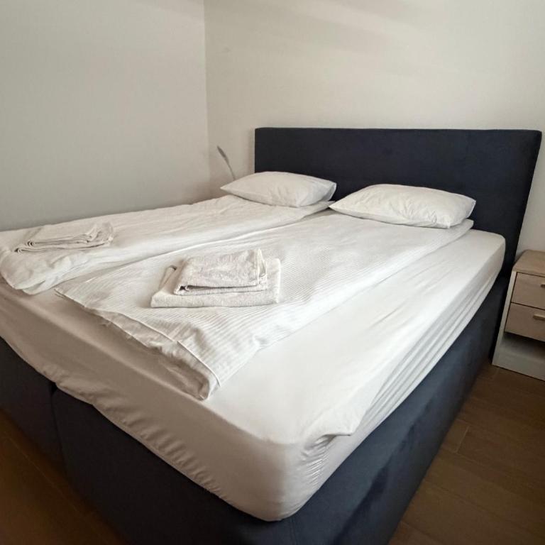 Apartments Memories EV ch 11kW available - Apartman sa 1 Spavaćom Sobom, Balkonom i Pogledom na Planinu - 4