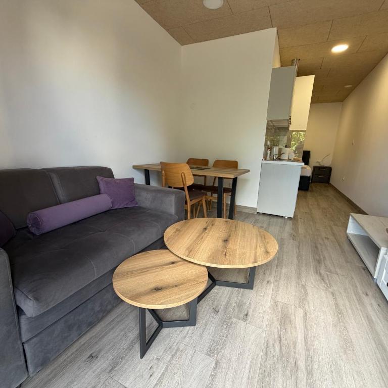 Apartments Memories EV ch 11kW available - Apartman sa 1 Spavaćom Sobom - 6