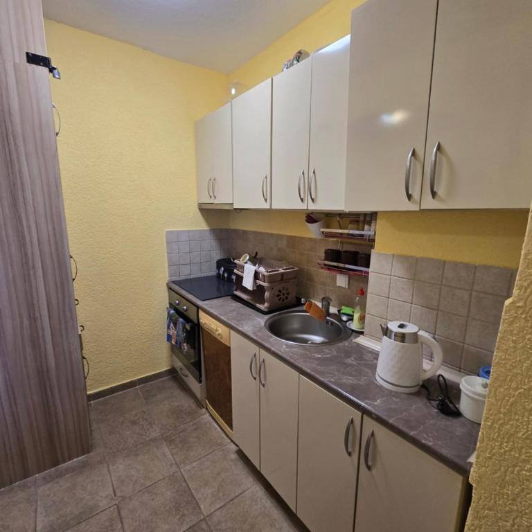 Zaklina Kosic - Apartman sa 1 Spavaćom Sobom - 4