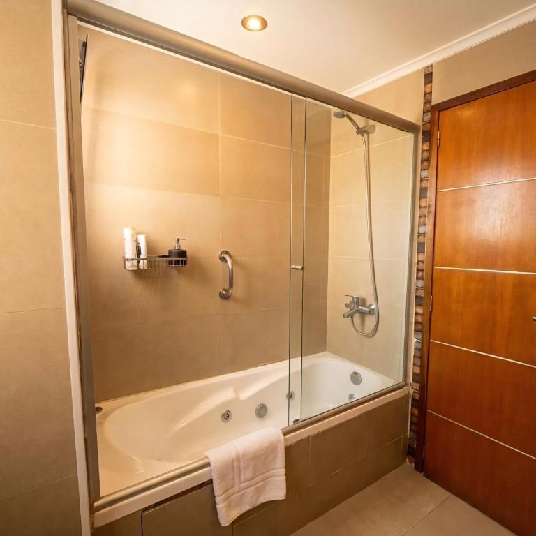 Arena de Mar - Departamento I- Spa, pool, pileta y gym - Apartamento de 1 dormitorio - 5