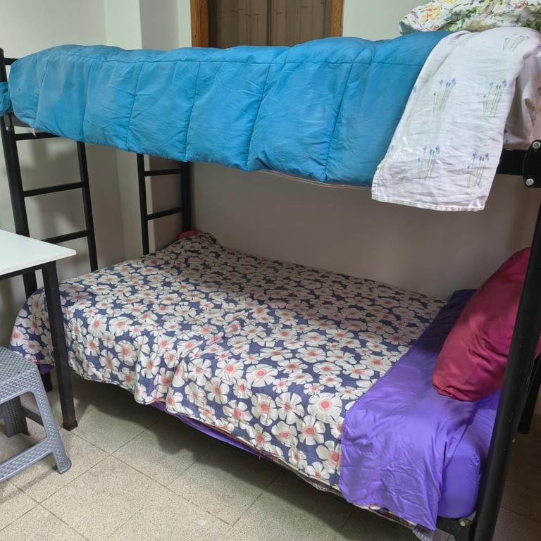 Casita de Lulu - Bunk Bed in Female Dormitory Room - 1