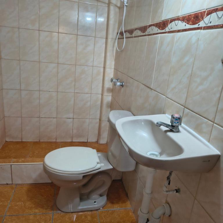 Casita de Lulu - Bed in 6-Bed Mixed Dormitory Room - 3