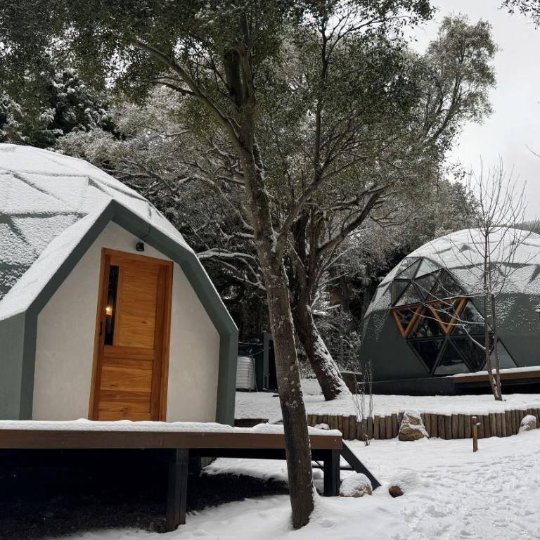 Domos del Bosque Bariloche - Casa - 2