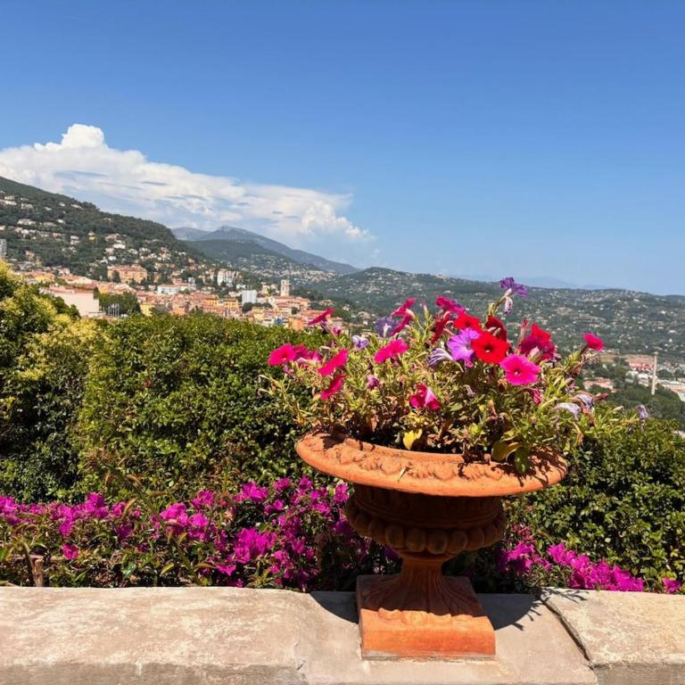 Villa Apolline - 1892 Perfumer's House, Grasse - Heated Pool - Villa - 15