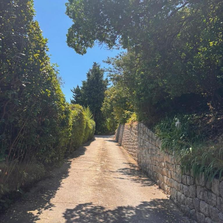Villa Apolline - 1892 Perfumer's House, Grasse - Heated Pool - Villa - 24