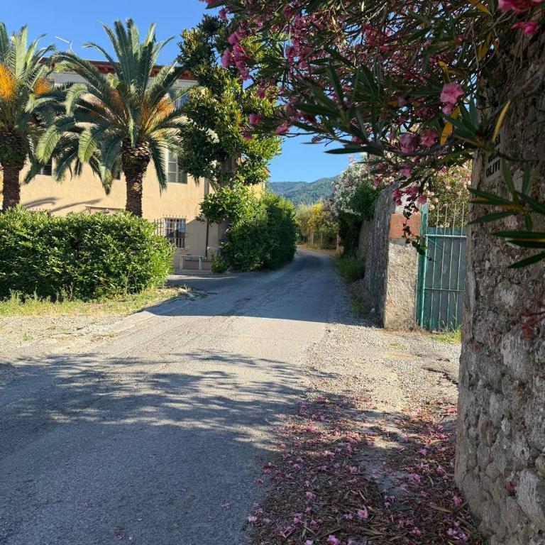 Villa Gopal Natura Toscana vicino Lucca 8 posti - Villa con 3 Camere da Letto - 23