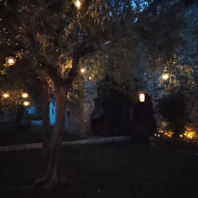 Casa FiorElena - Casa con 3 Camere da Letto - 17