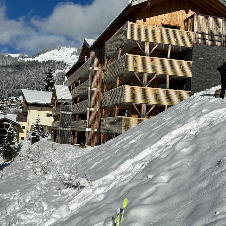 Appartement sur les pistes de ski - Appartement 3 Chambres - 19