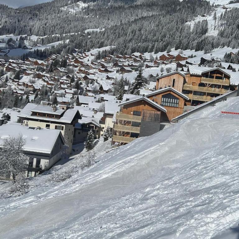 Appartement sur les pistes de ski - Appartement 3 Chambres - 17