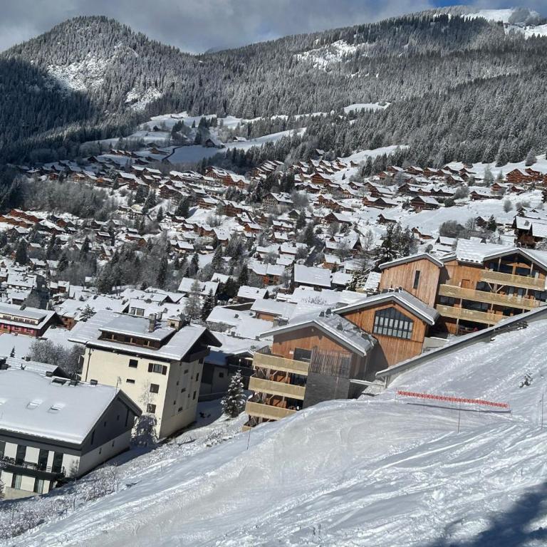 Appartement sur les pistes de ski - Appartement 3 Chambres - 18